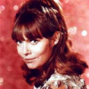 Barbara Feldon