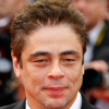 Benicio Del Toro