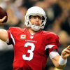 Carson Palmer