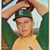 Catfish Hunter