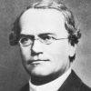 Gregor Mendel