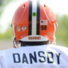 Karlos Dansby