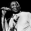 Muddy Waters