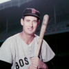 Ted Williams