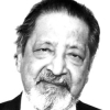 V. S. Naipaul